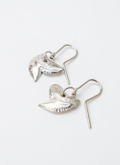 Tiger Shark Tooth Earrings