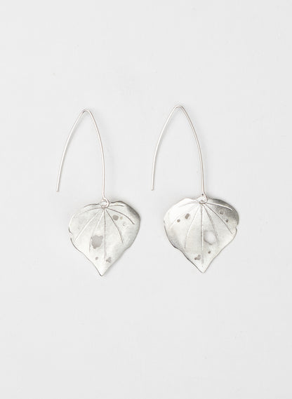 Kawakawa - Long Dangles Wide
