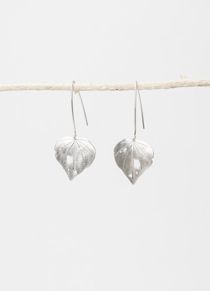 Kawakawa - Long Dangles Wide