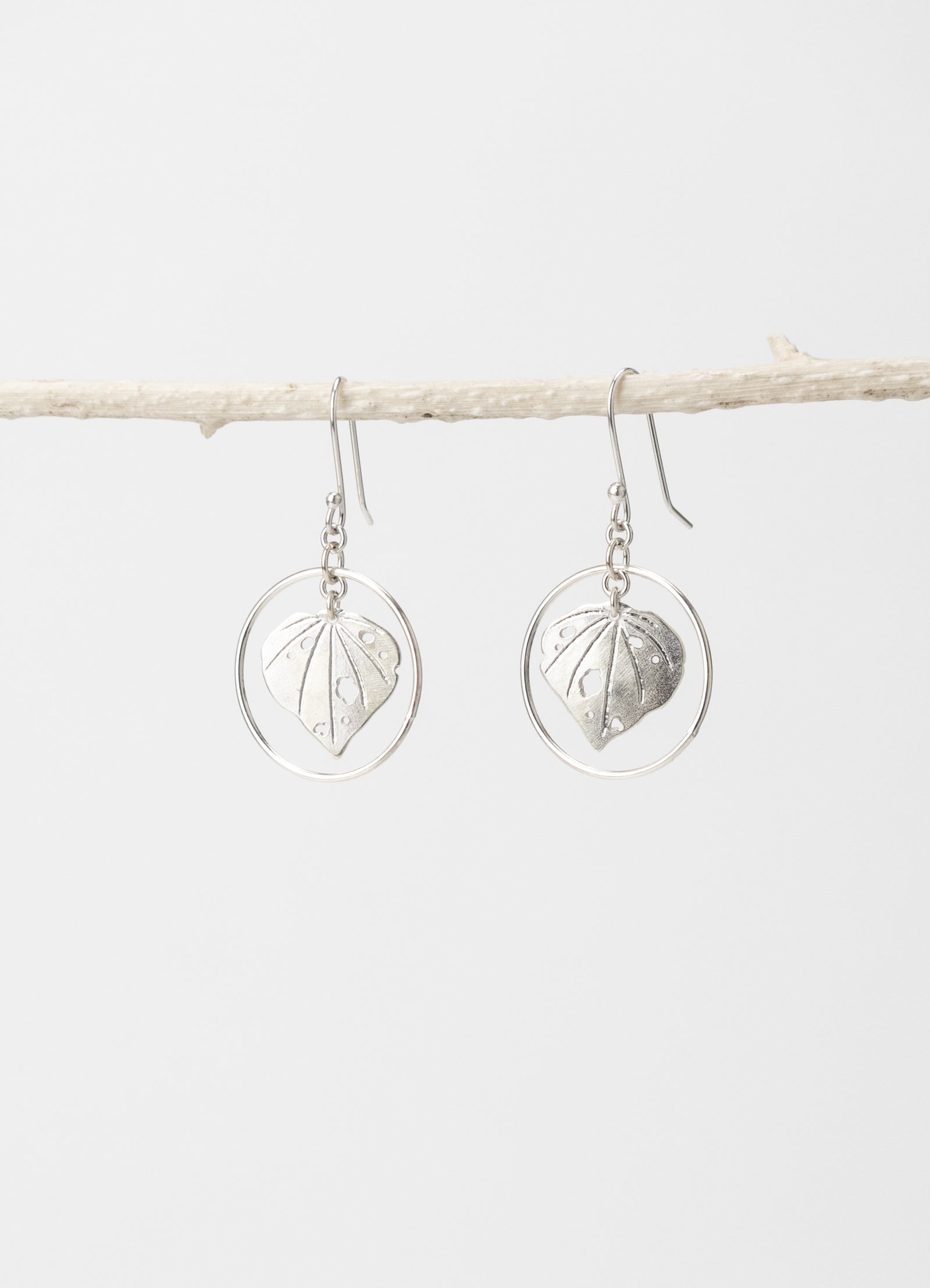 Kawakawa - Hoops