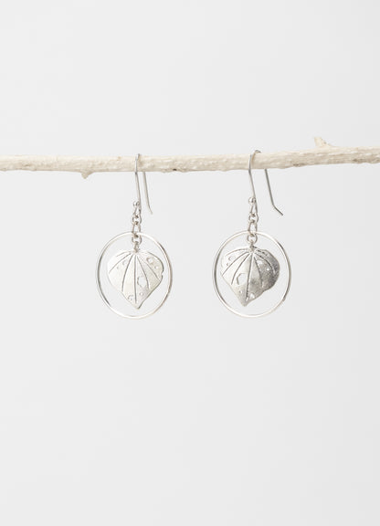 Kawakawa - Hoops
