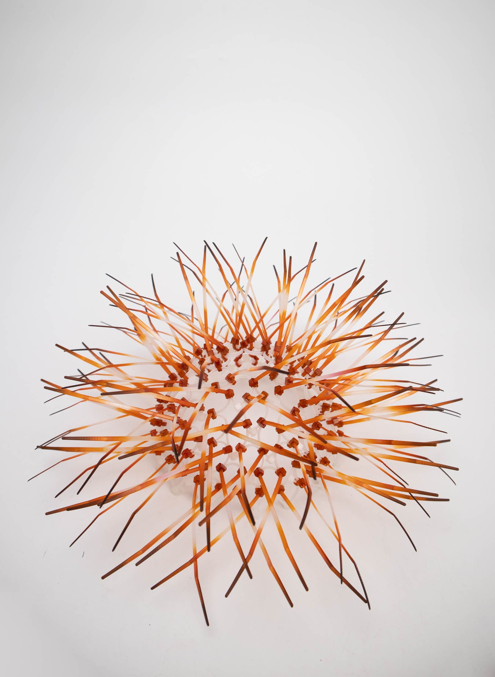 Mini Kina - Burnt Orange