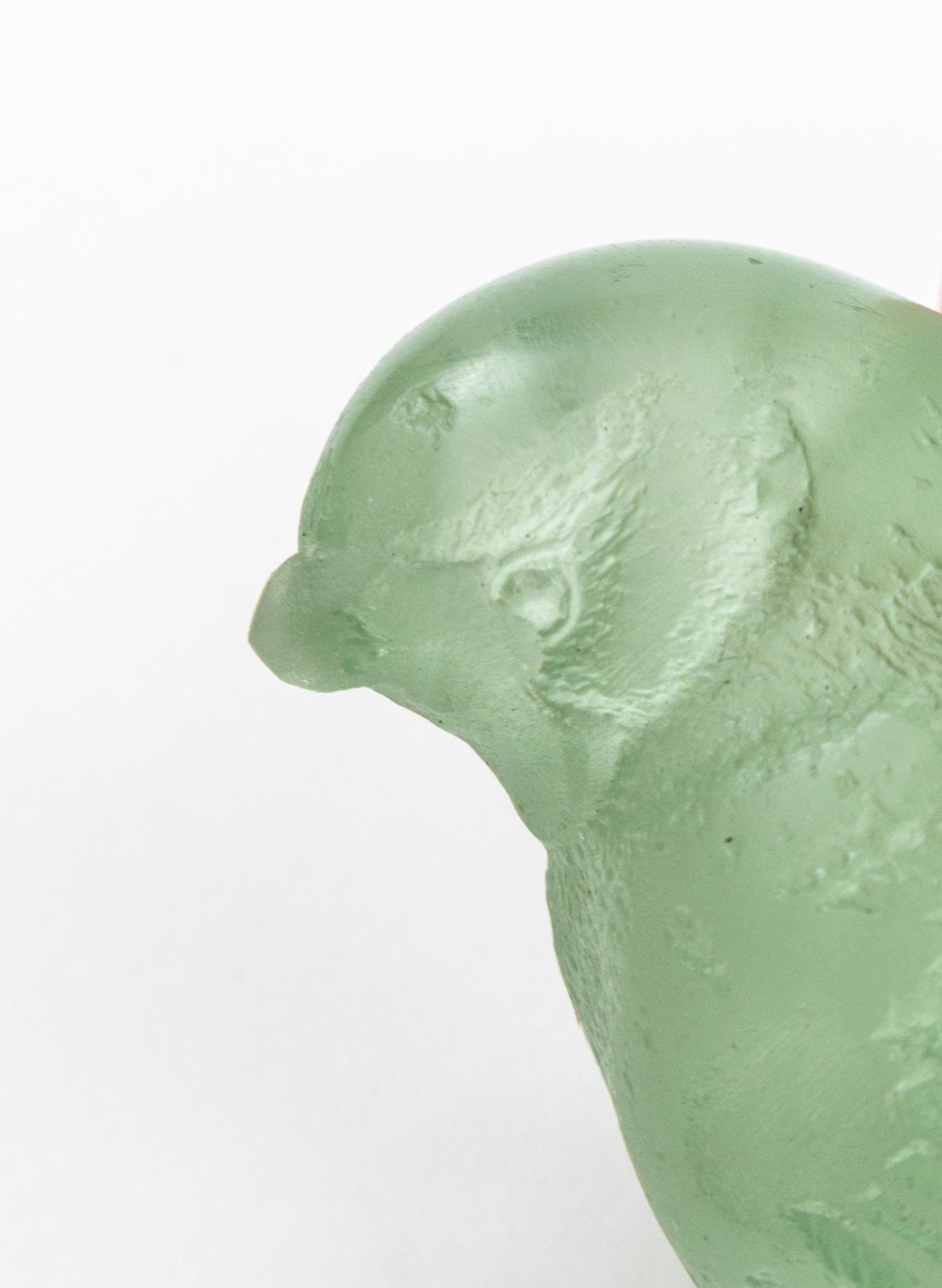 Green Tea Citrus Bird