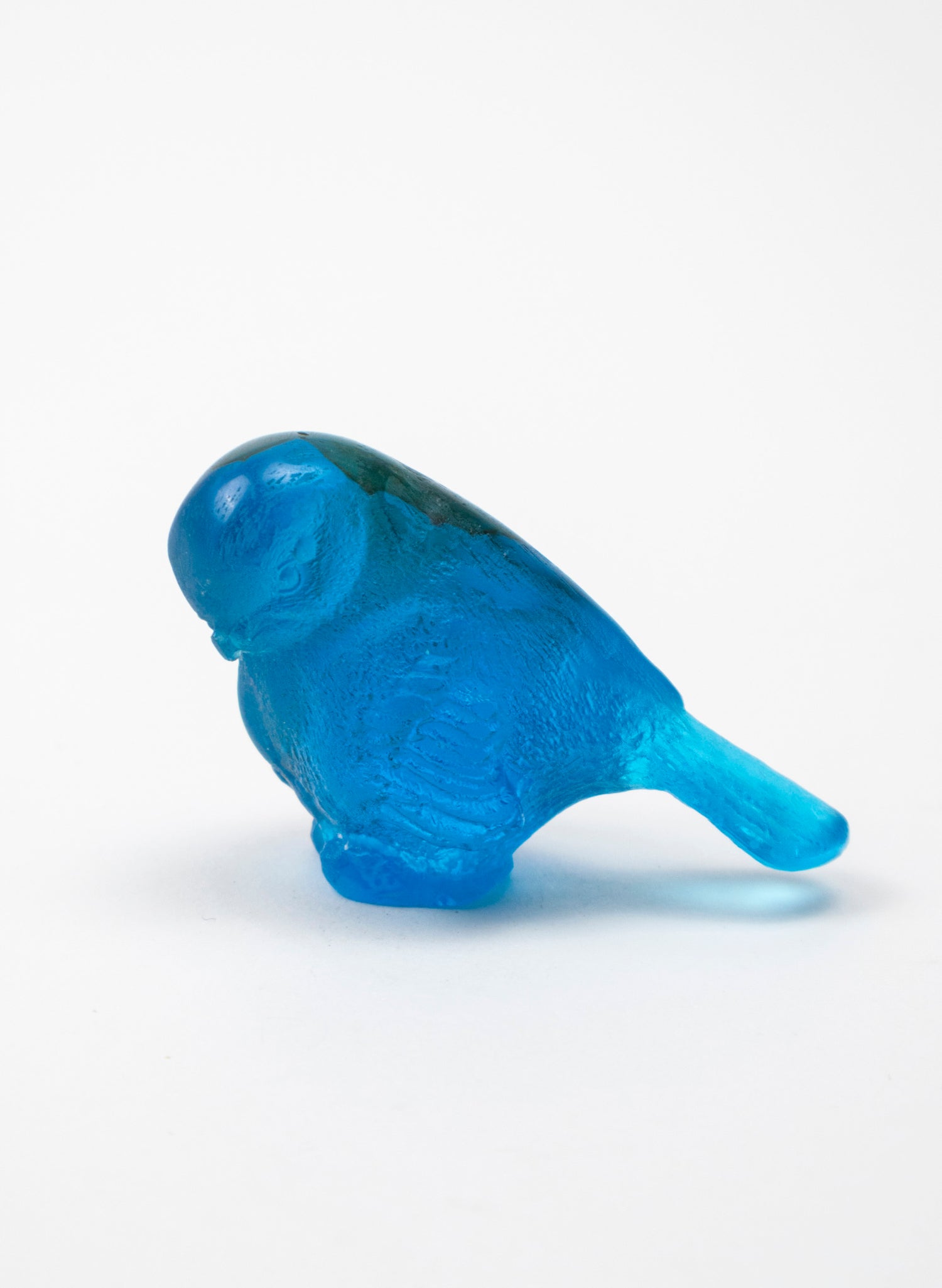 Blue Bird