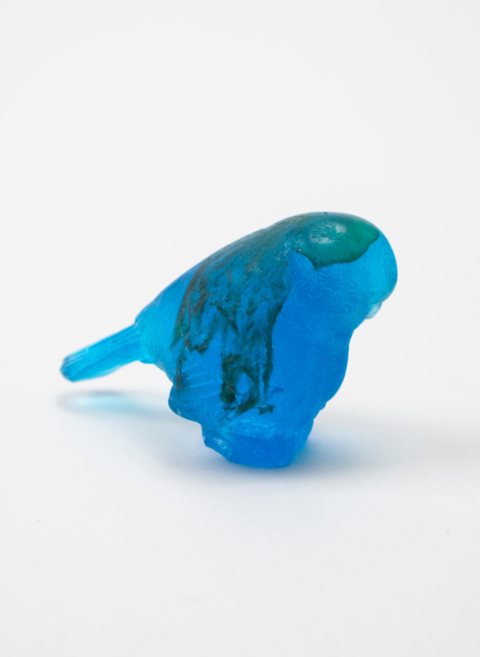 Blue Bird