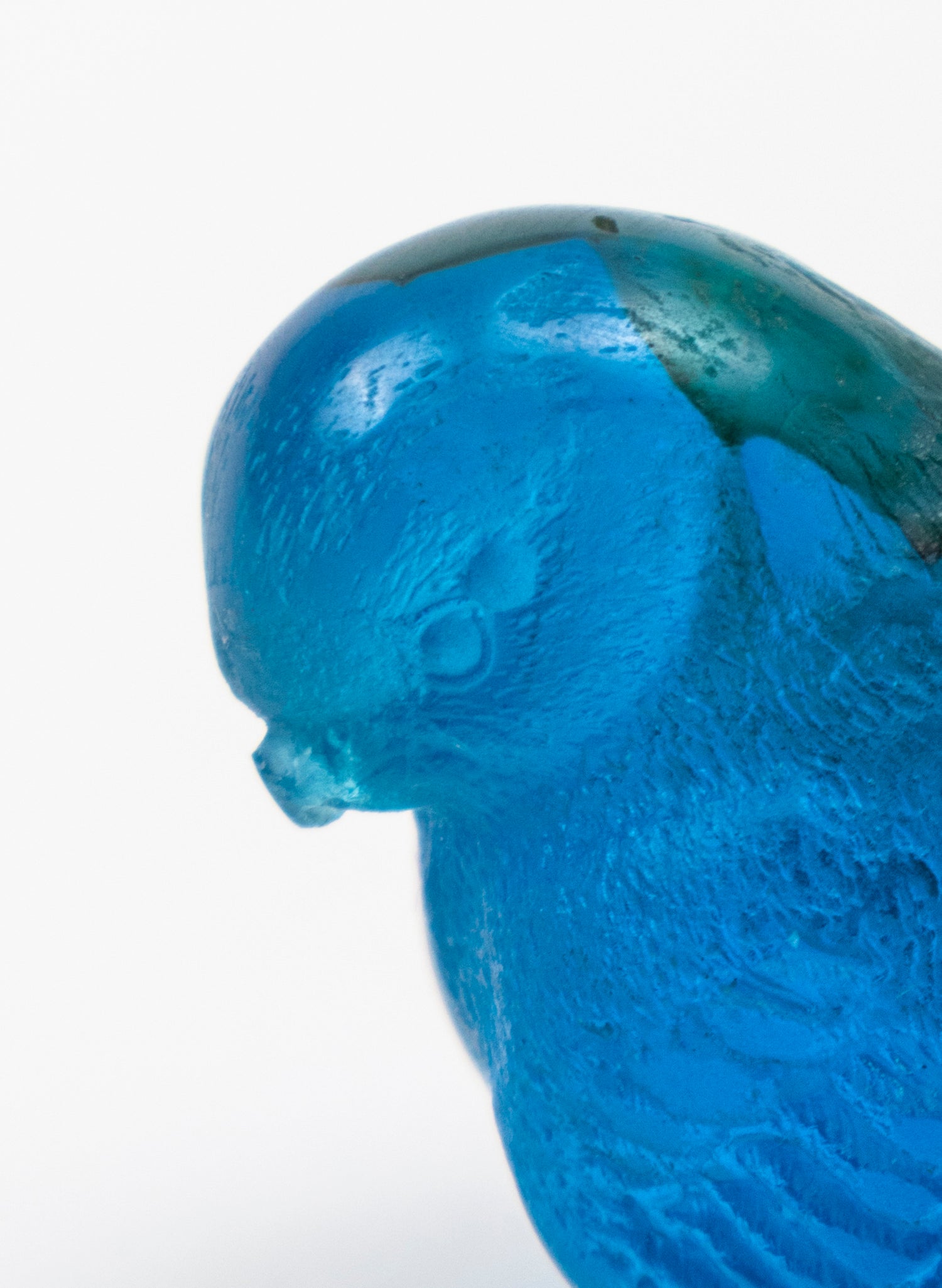 Blue Bird