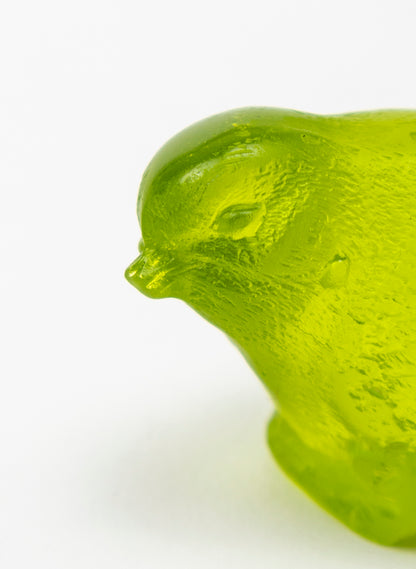 Lime Bird