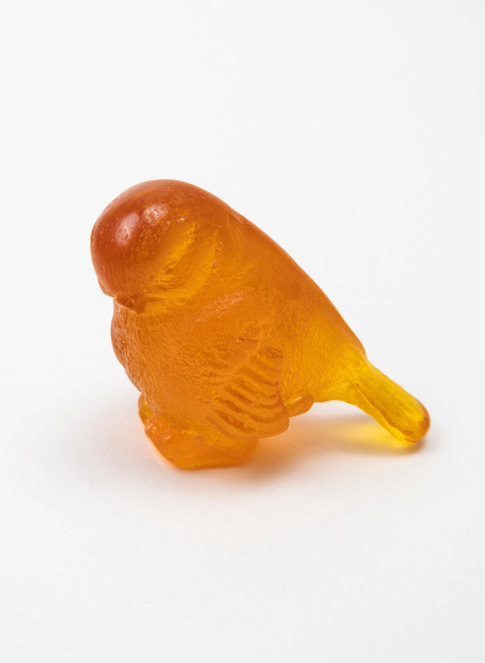 Orange Bird