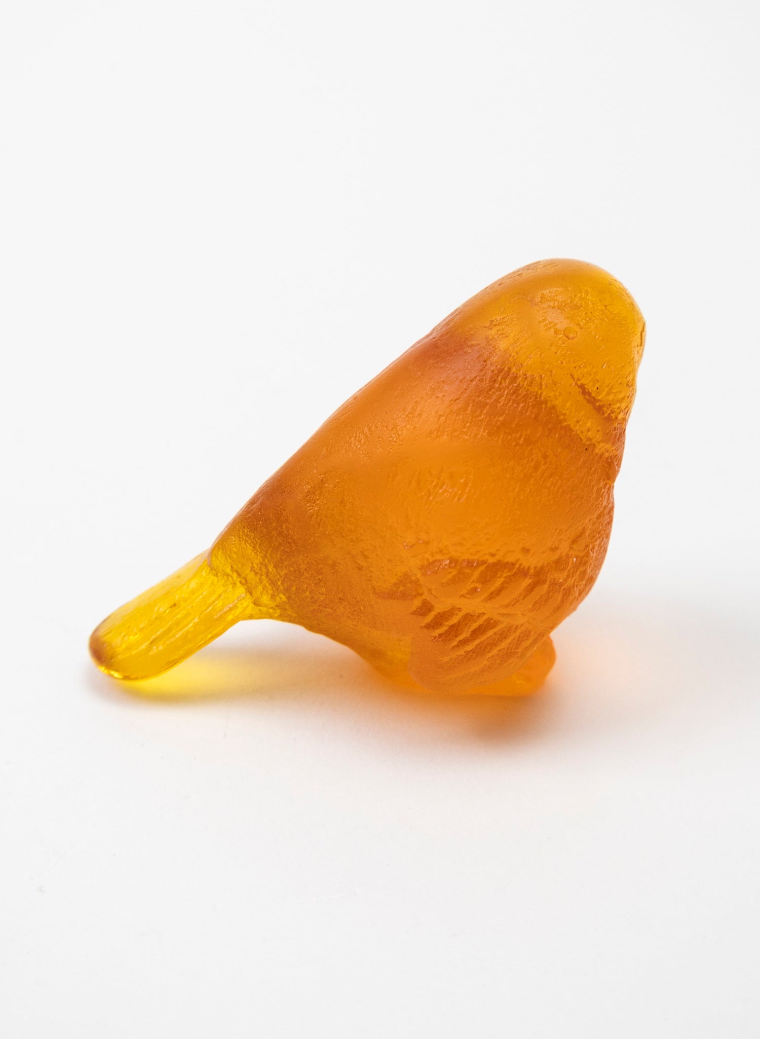 Orange Bird