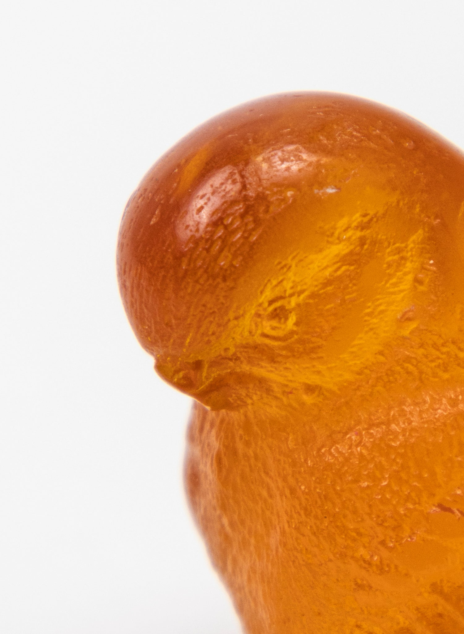 Orange Bird