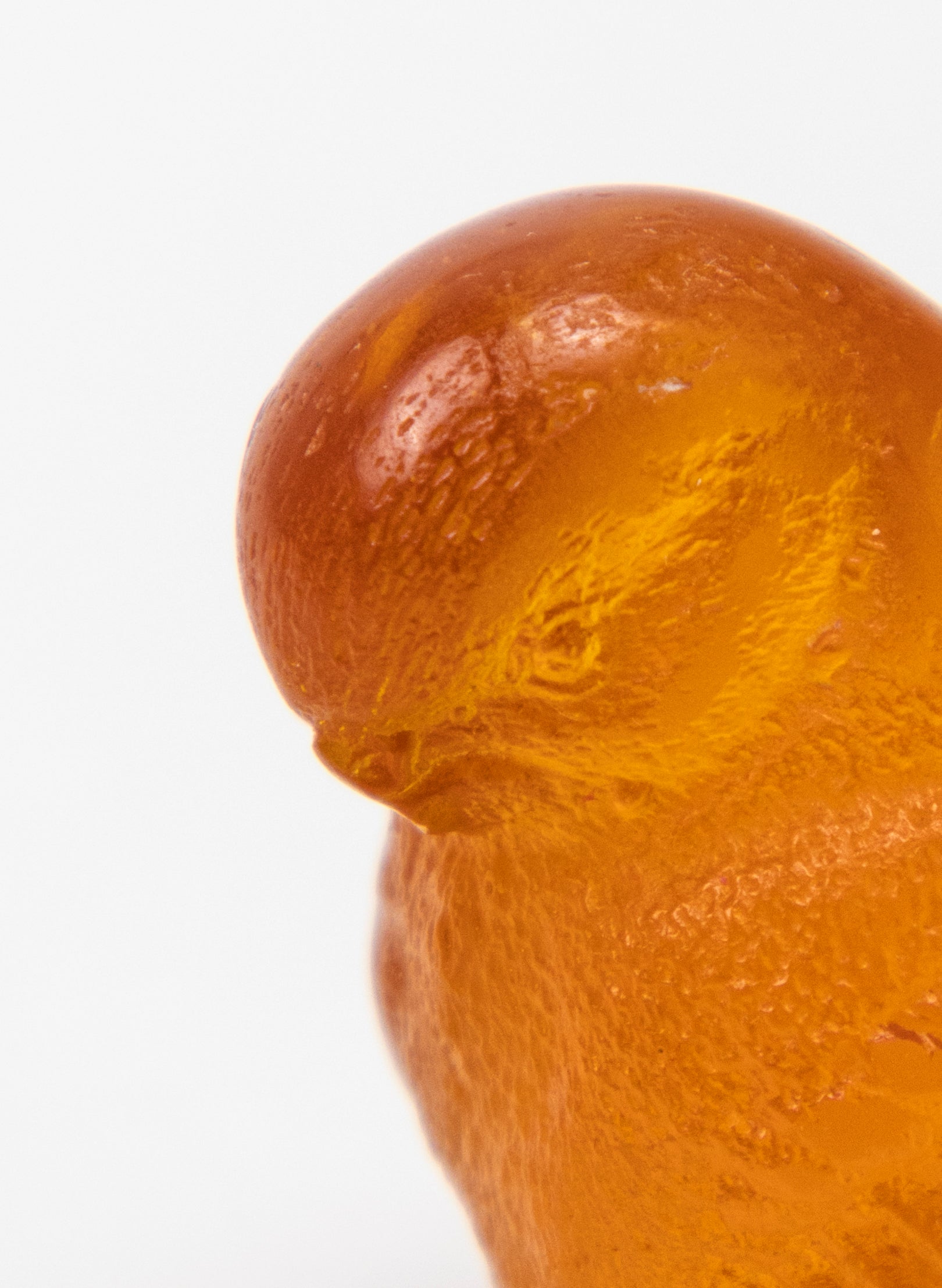 Orange Bird