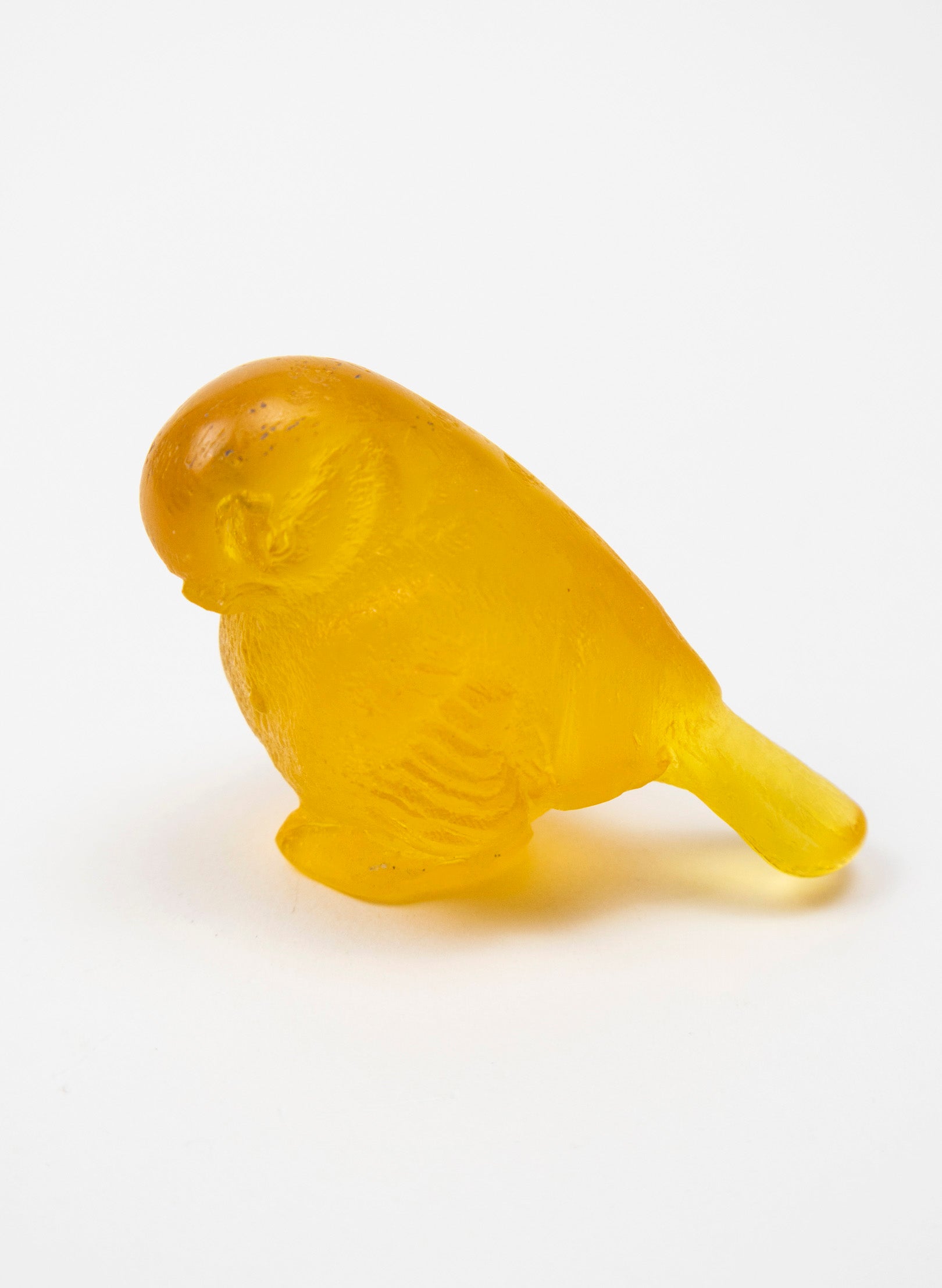 Yellow Bird
