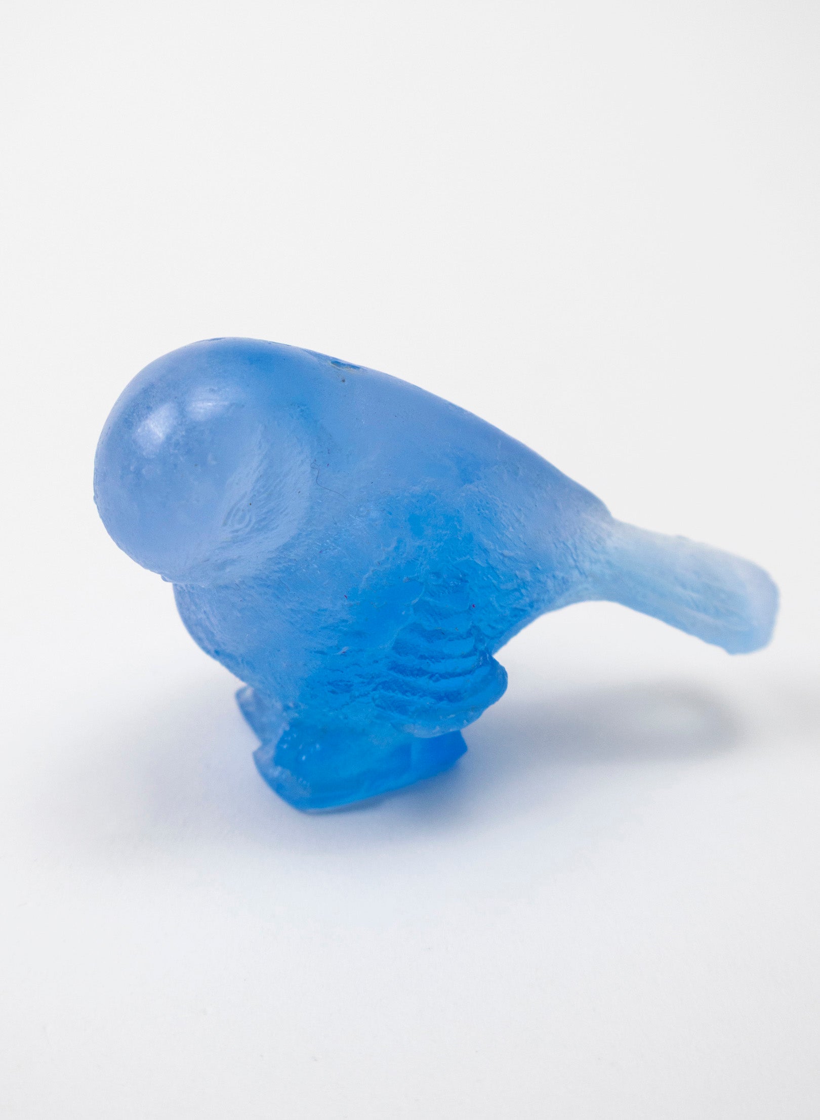 Blue Bird