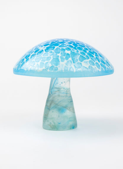Turquoise Lacecap Mushroom - Medium