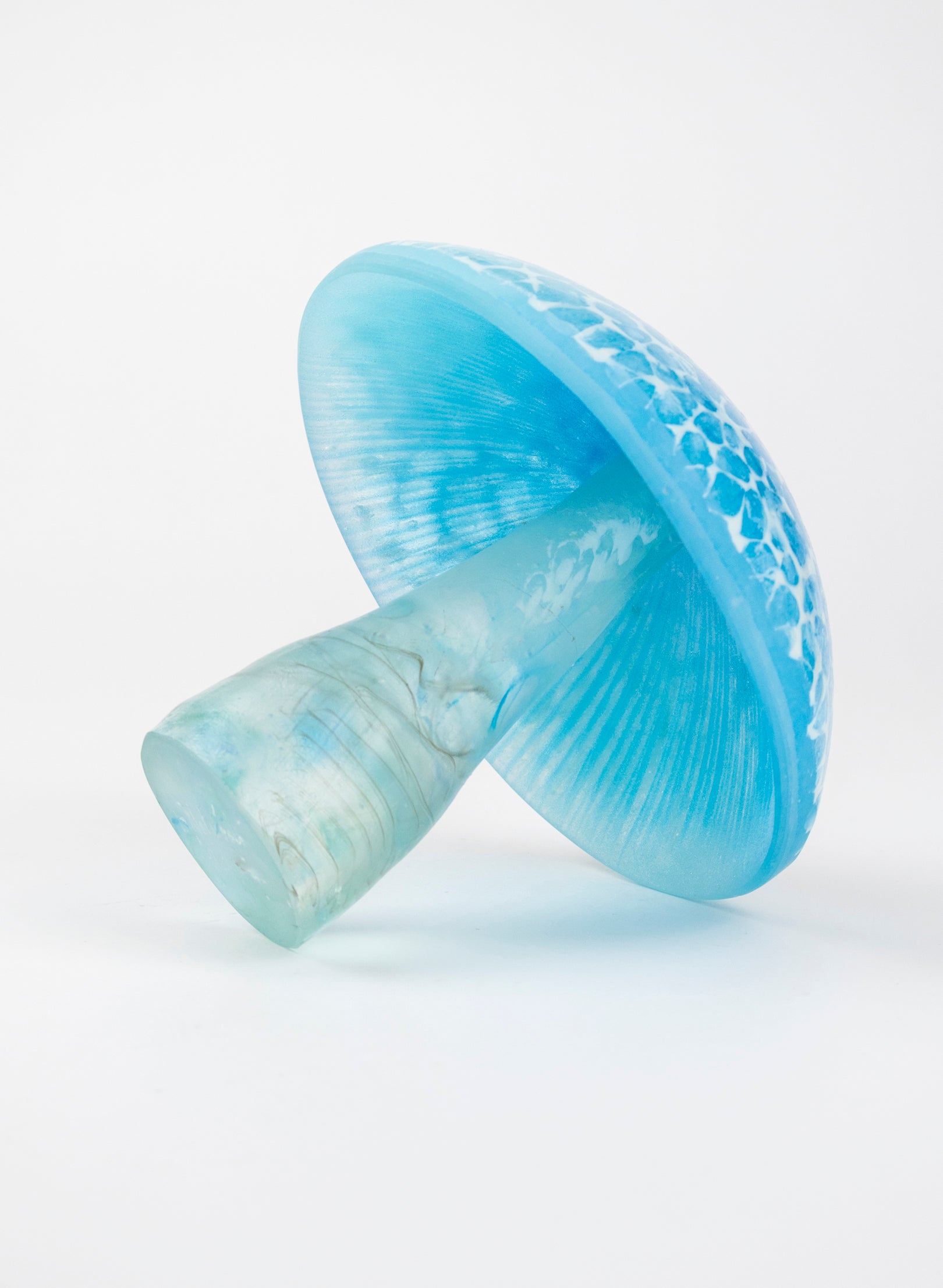 Turquoise Lacecap Mushroom - Medium