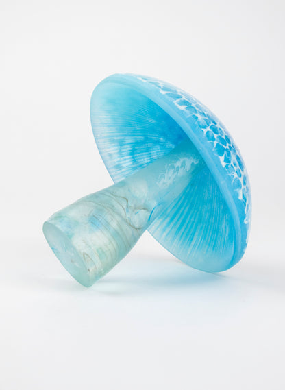 Turquoise Lacecap Mushroom - Medium