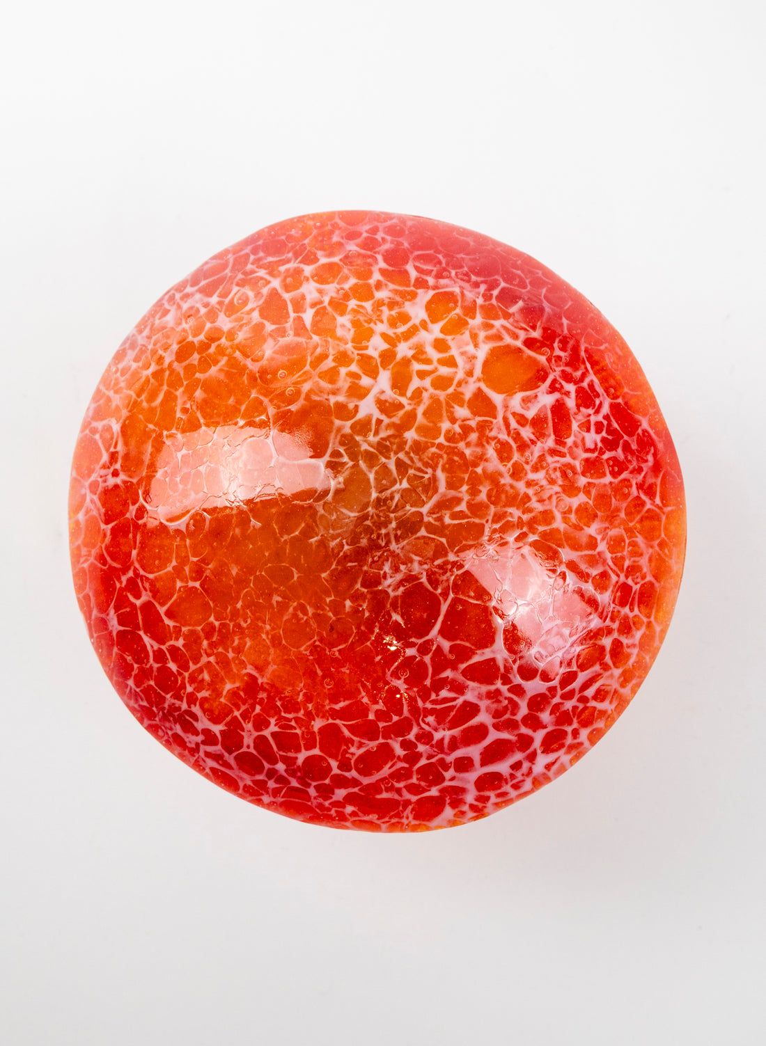 Red Lacecap Mushroom - Medium