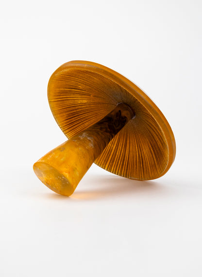 Brown Mushroom - Medium