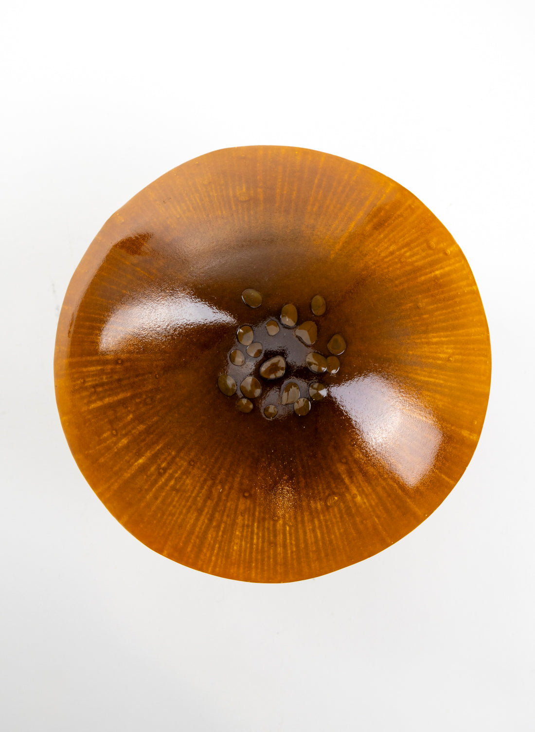 Brown Mushroom - Medium