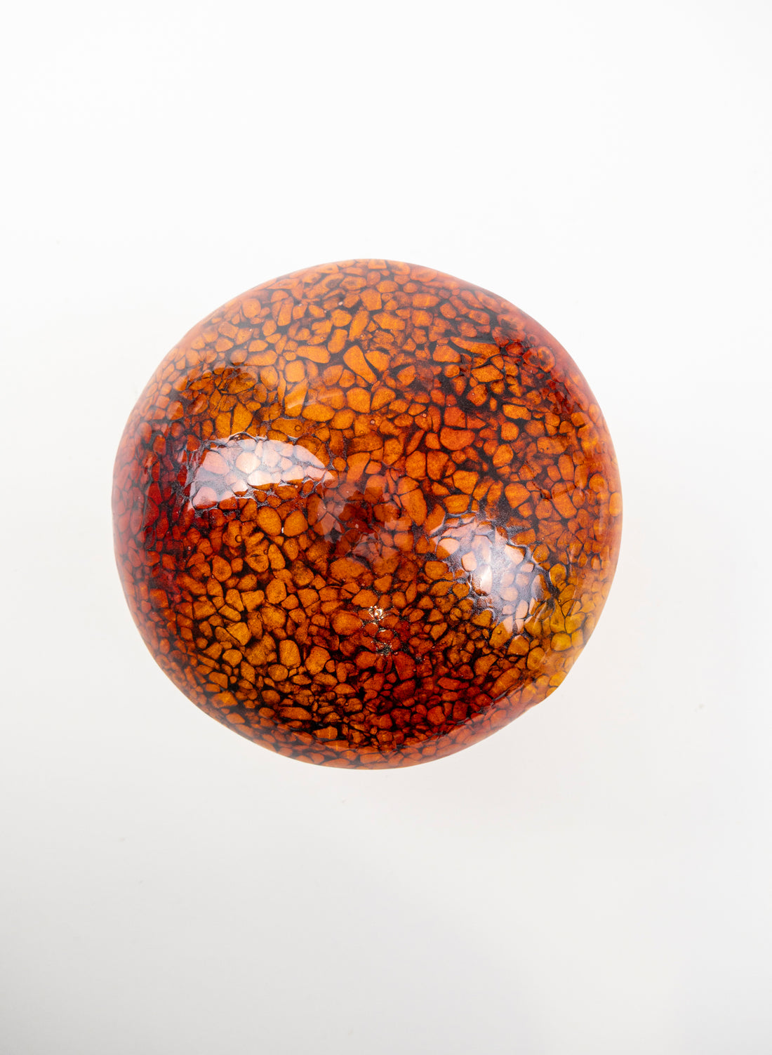 Red Lacecap Mushroom - Large