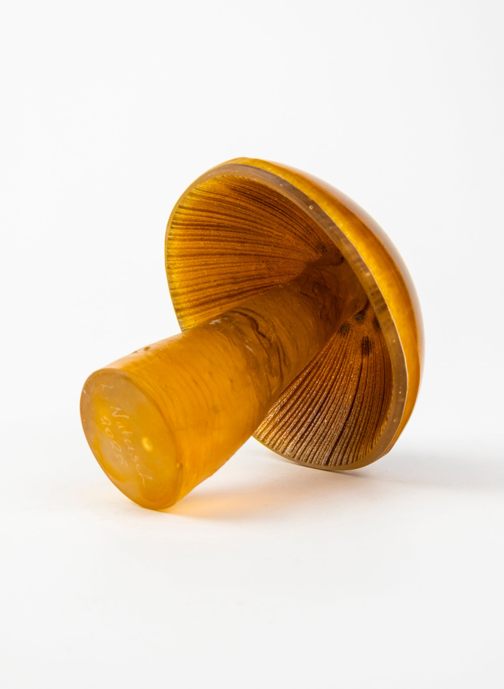 Brown Mushroom - Small