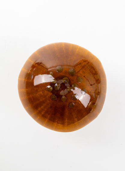 Brown Mushroom - Small