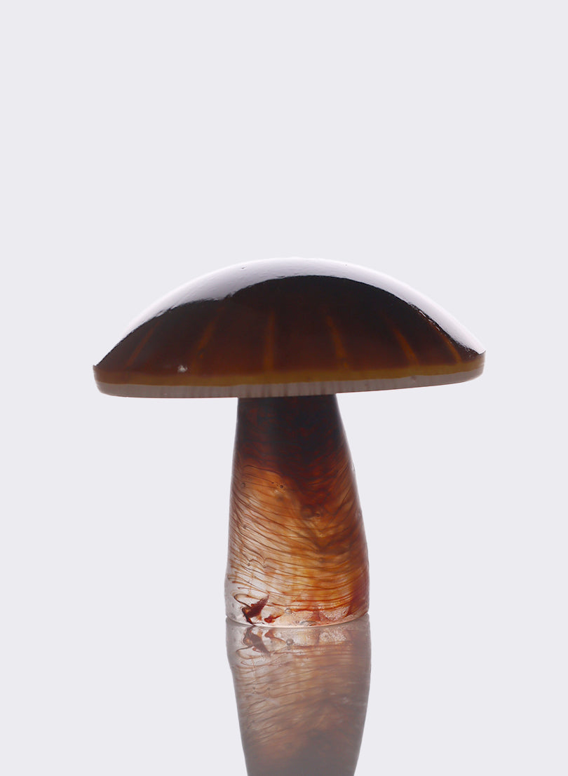 Brown Mushroom - Medium