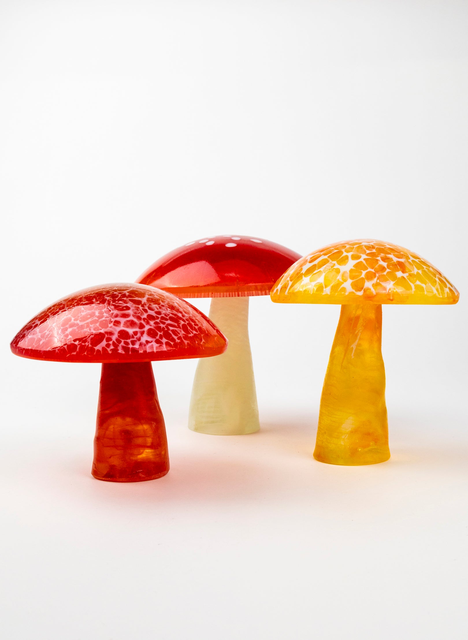 Red Lacecap Mushroom - Medium