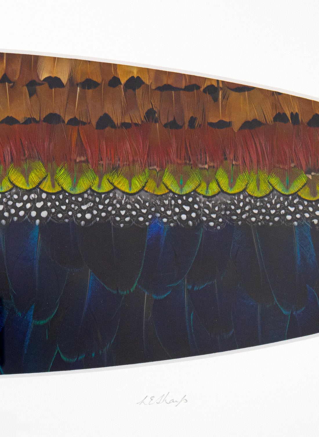 HOUSE OF HINE RAUKATAURI - Original Artwork