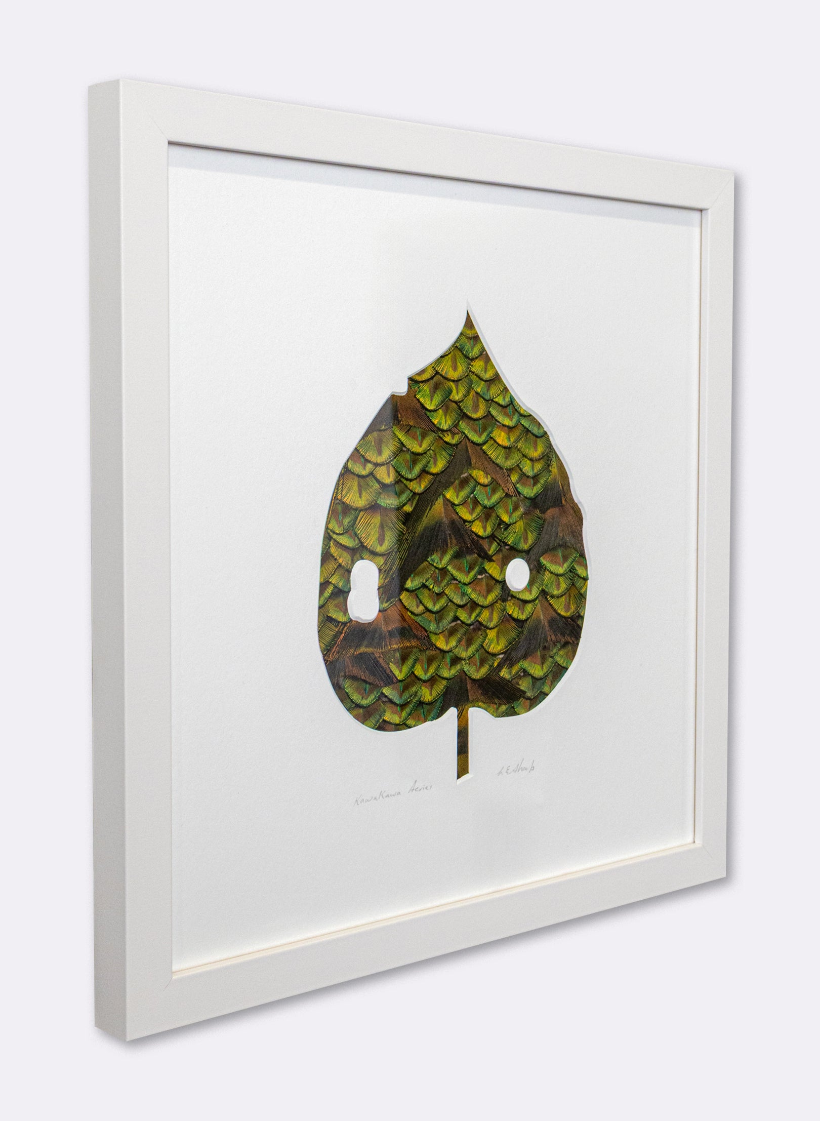Kawakawa
