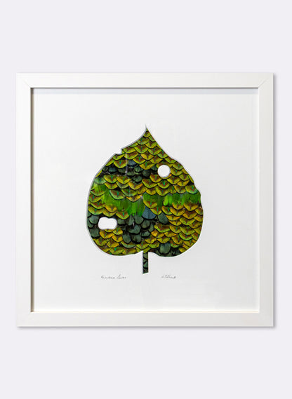 Kawakawa