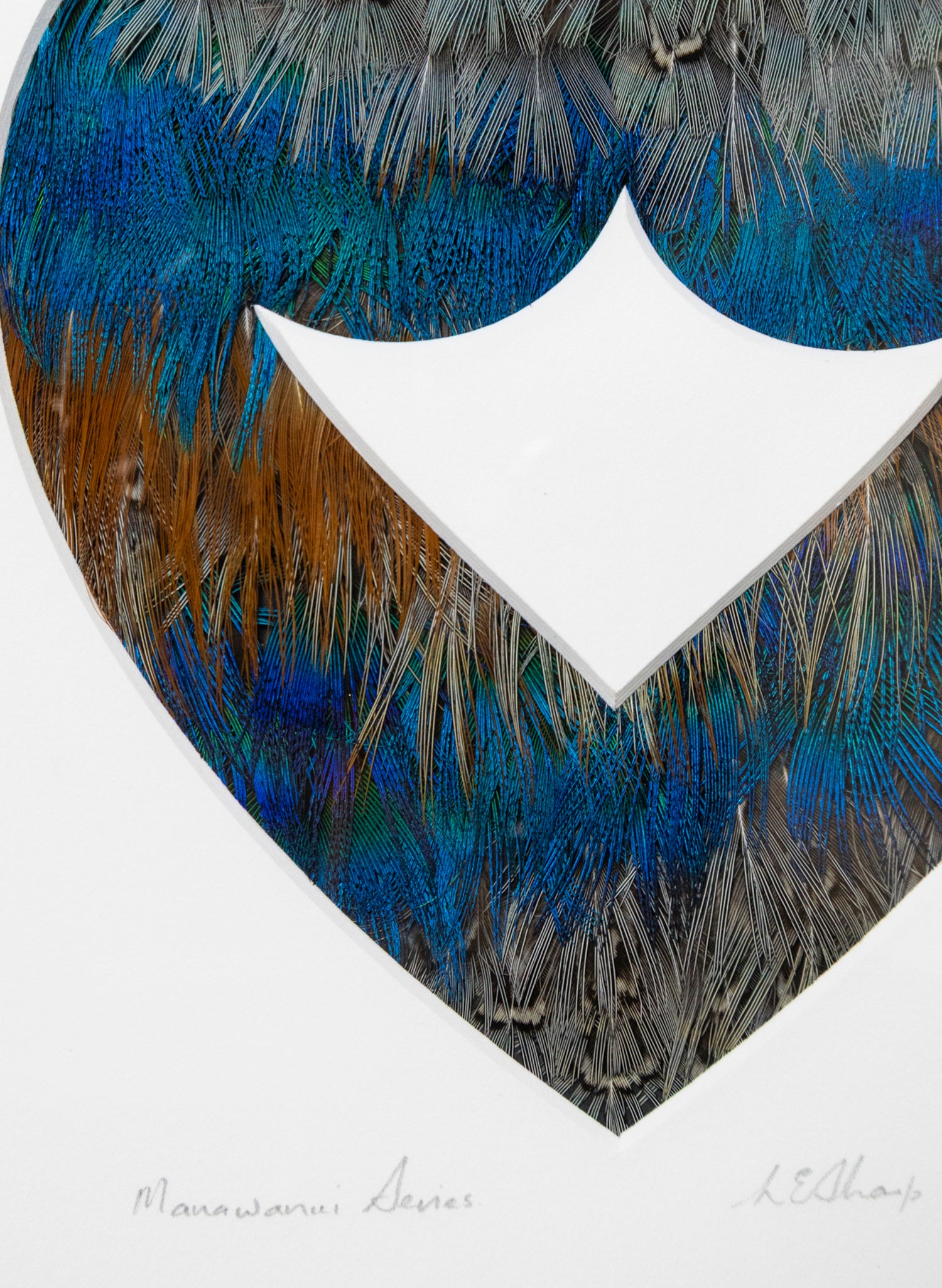 Manawanui Series 