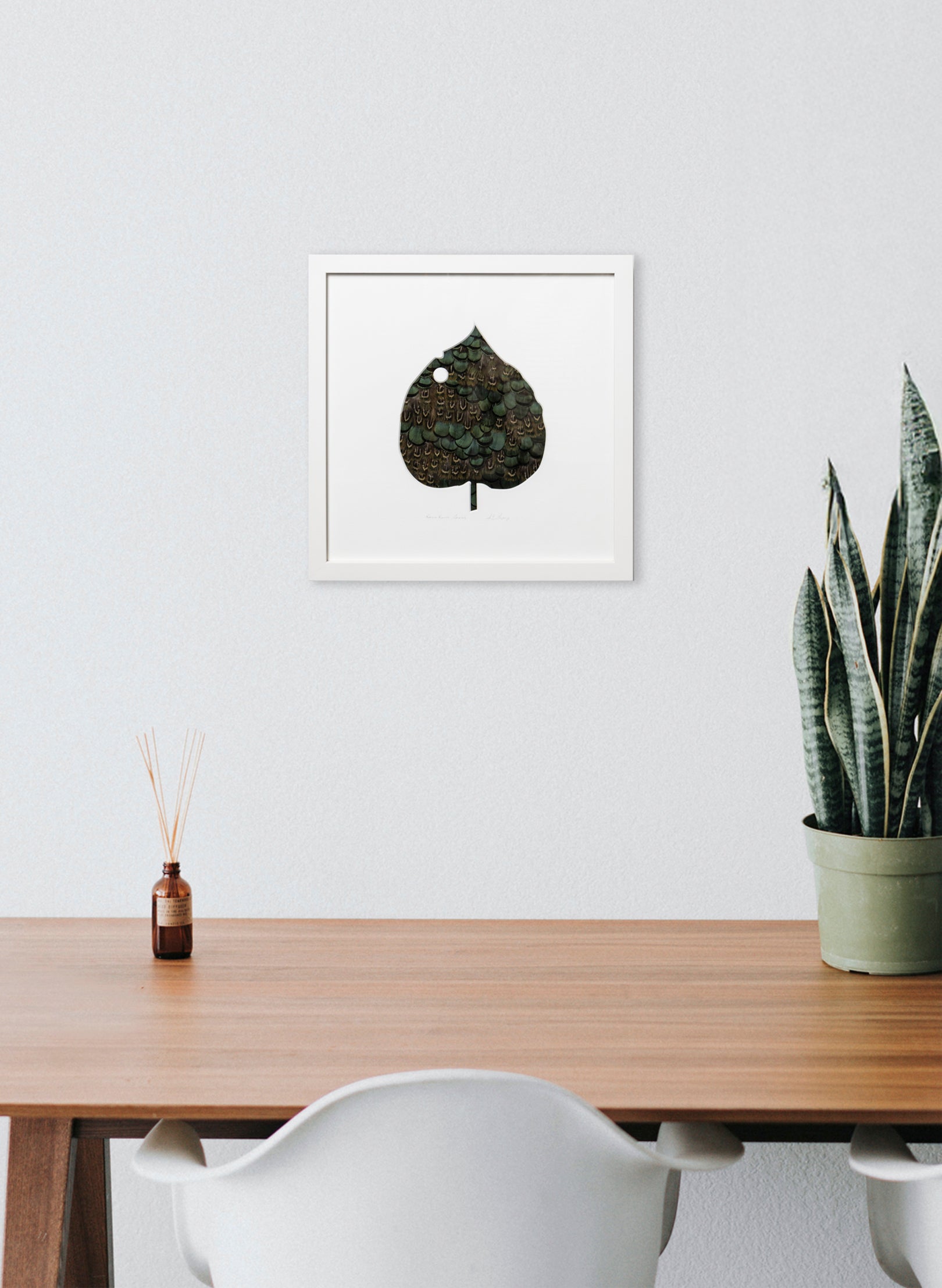 Kawakawa Series