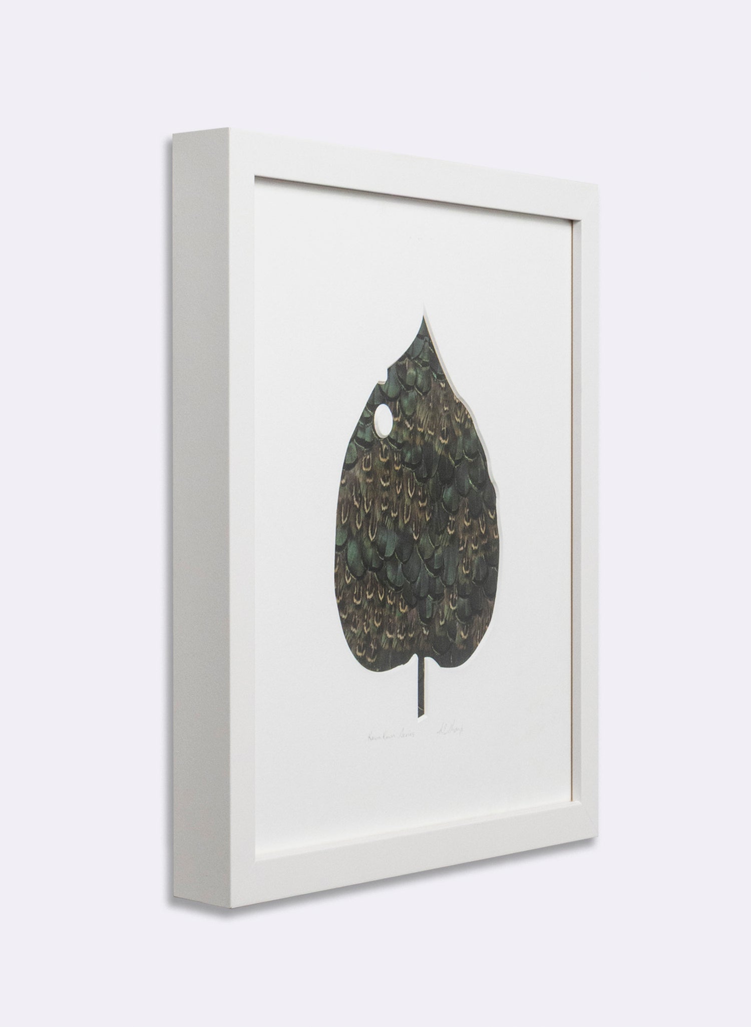 Kawakawa Series
