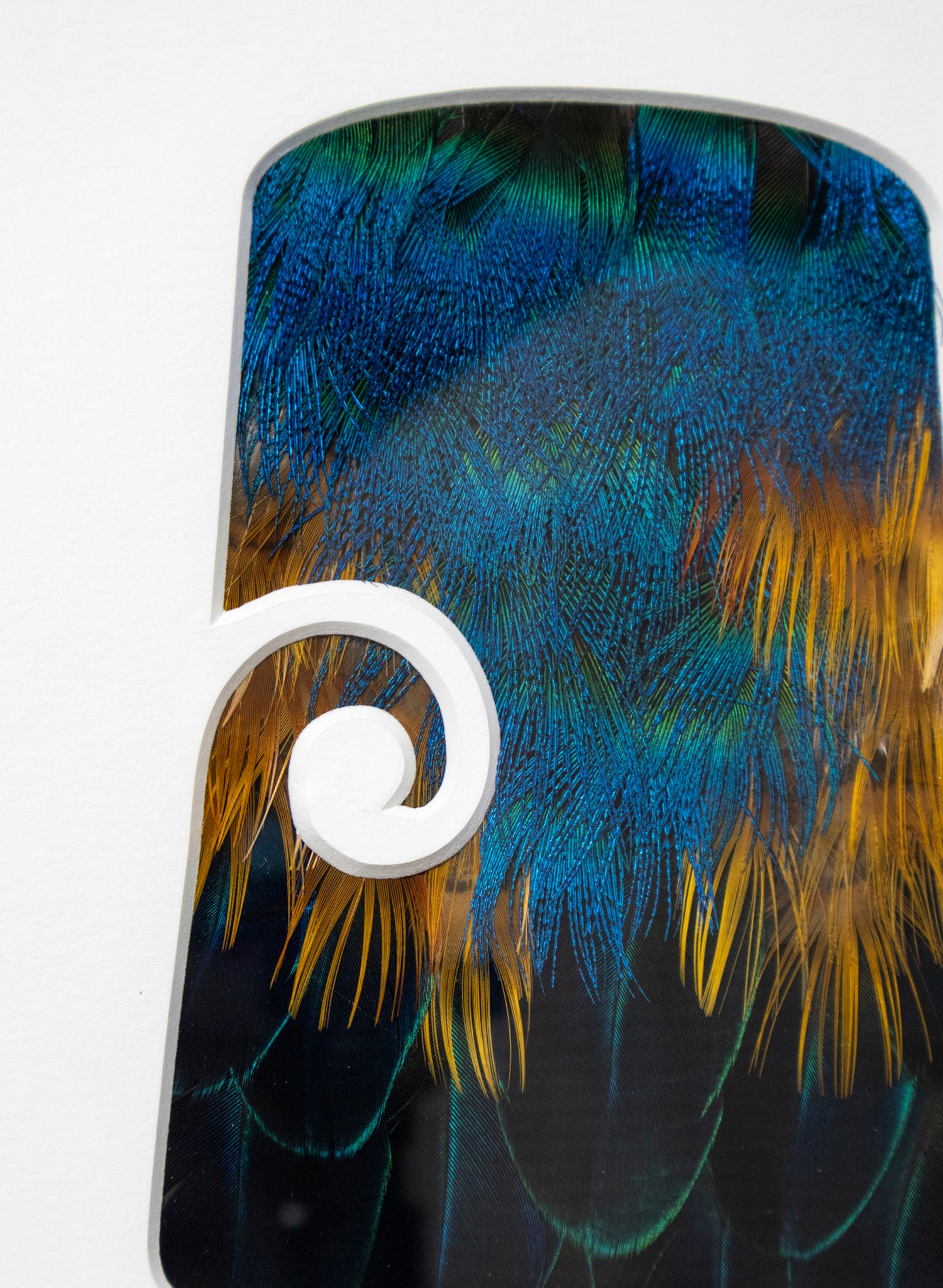 Toki Series 