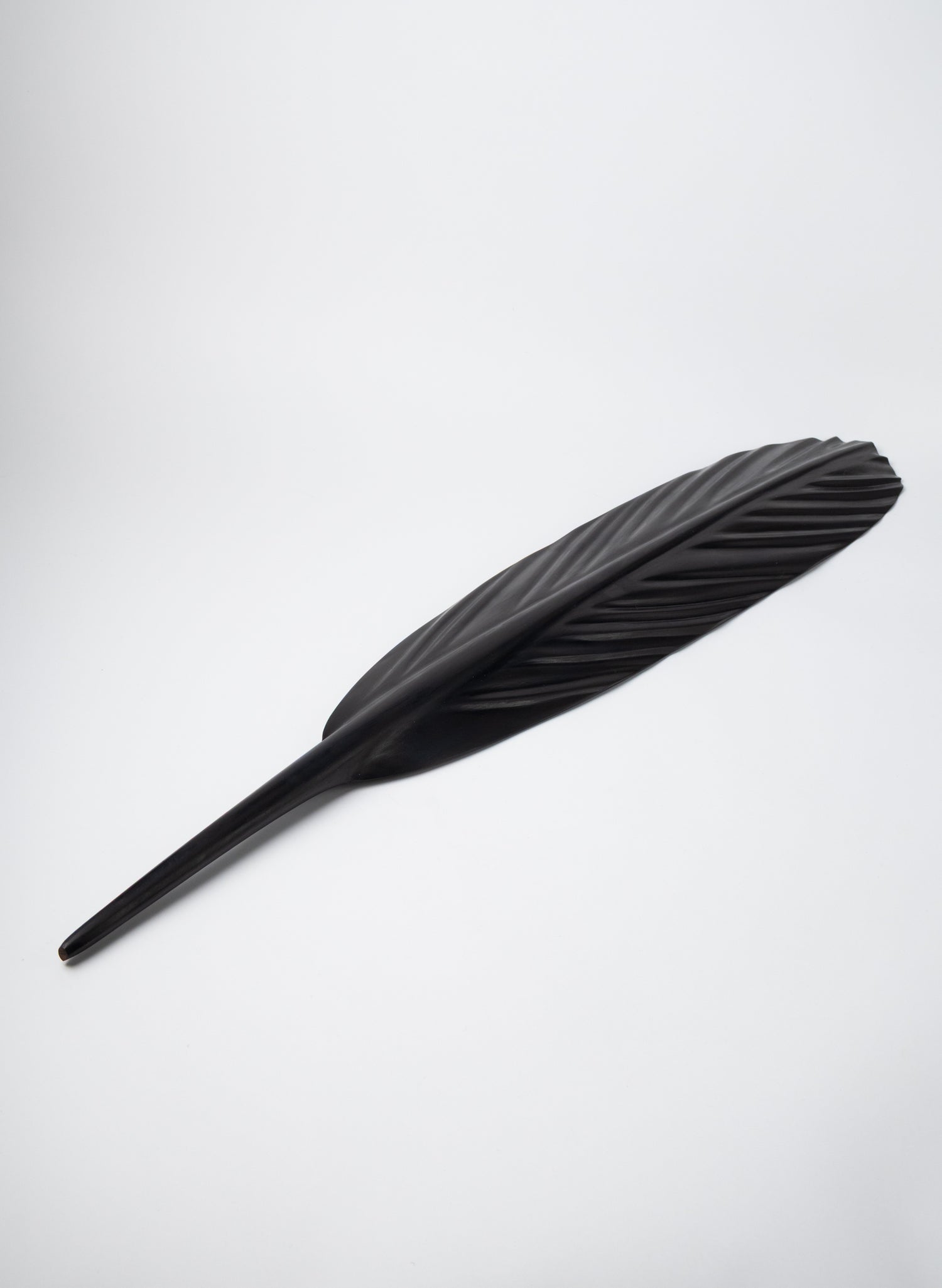 Tui Feather 800mm - Black Swamp Kauri