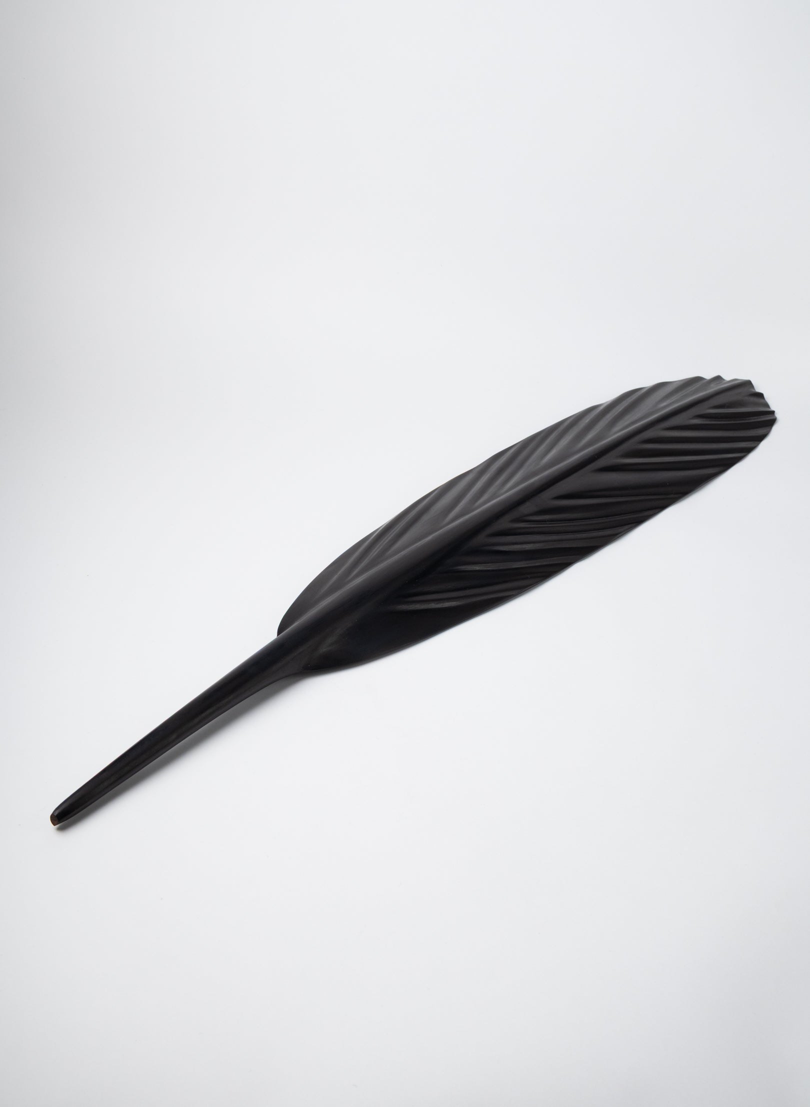 Tui Feather 800mm - Black Swamp Kauri