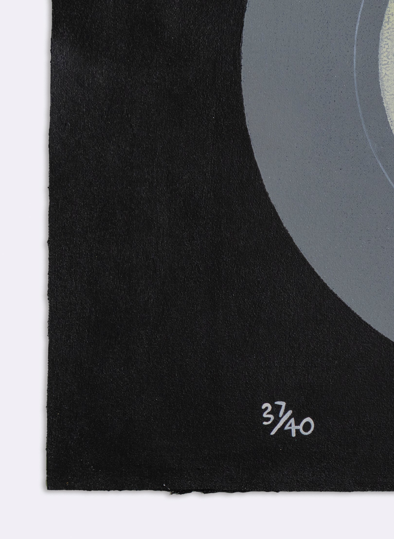 Black Glider Wing 37/40 - Unframed