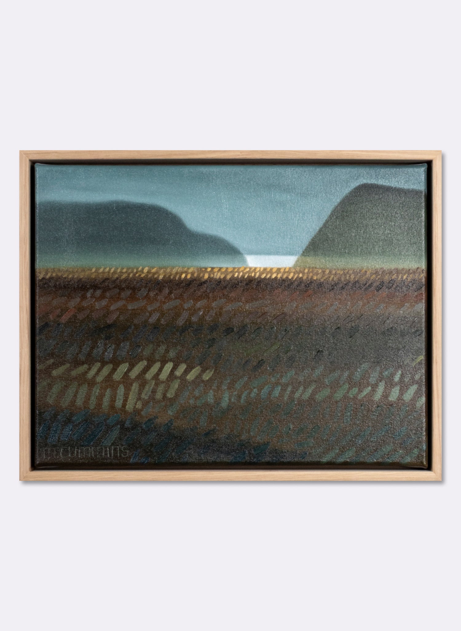 Milford Road Outside Te Anau