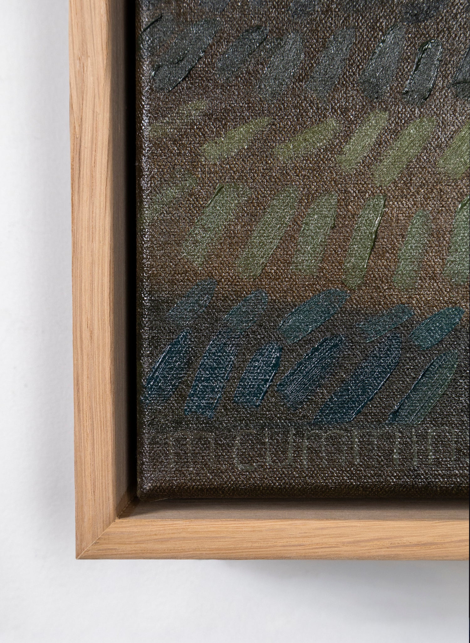 Milford Road Outside Te Anau