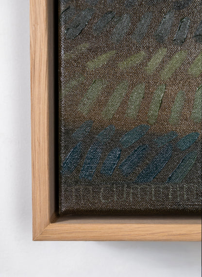 Milford Road Outside Te Anau