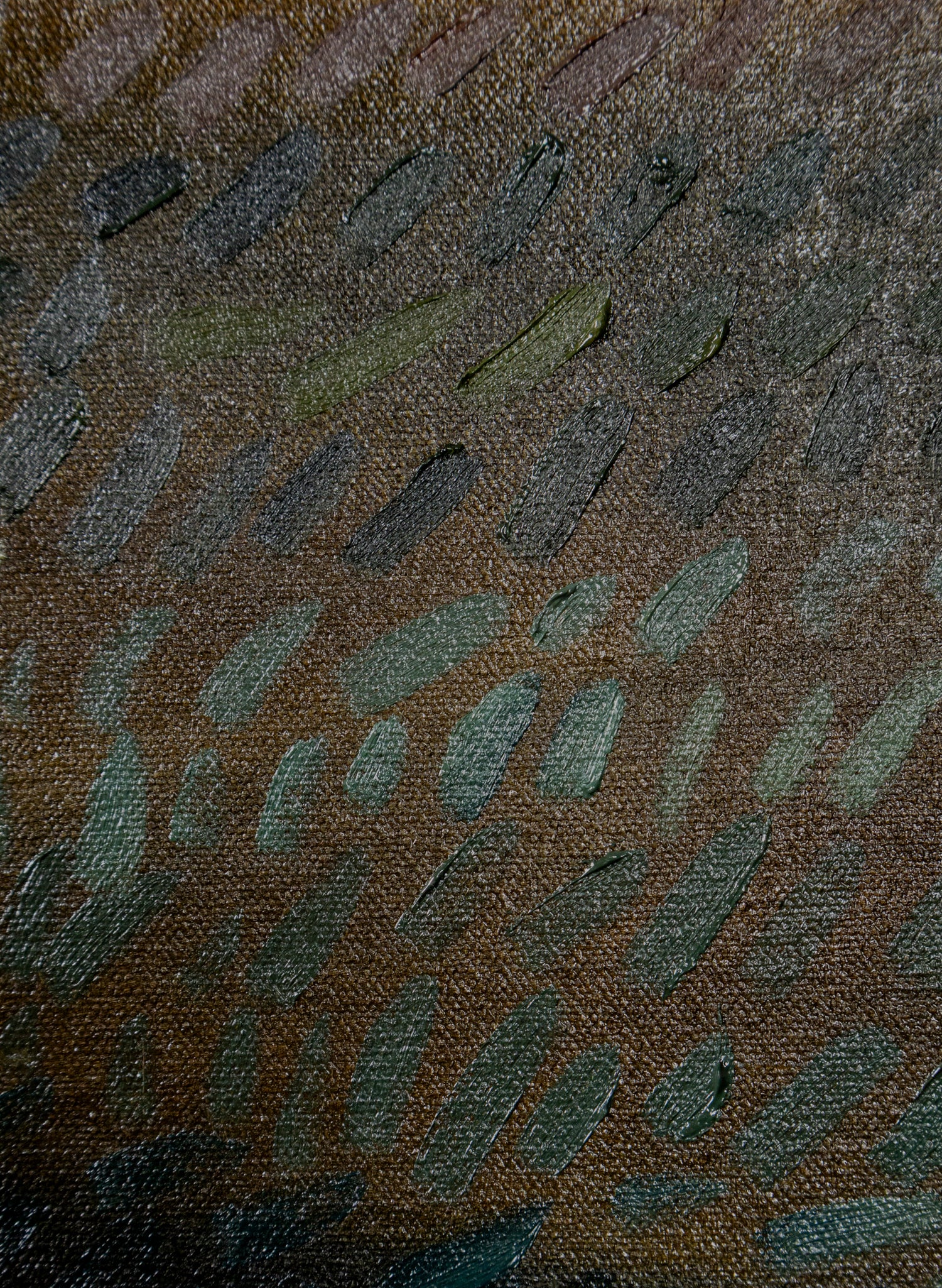 Milford Road Outside Te Anau
