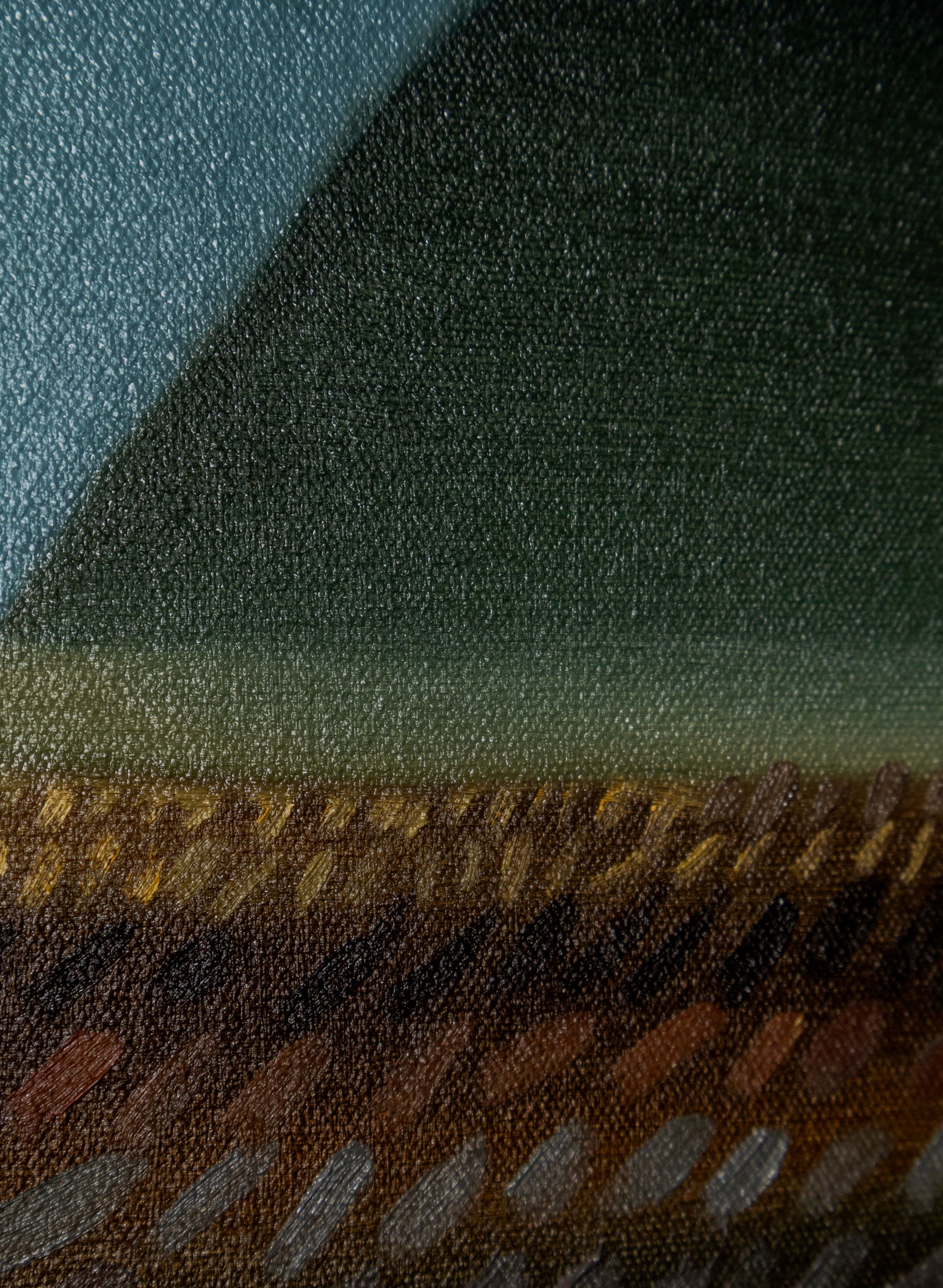 Milford Road Outside Te Anau