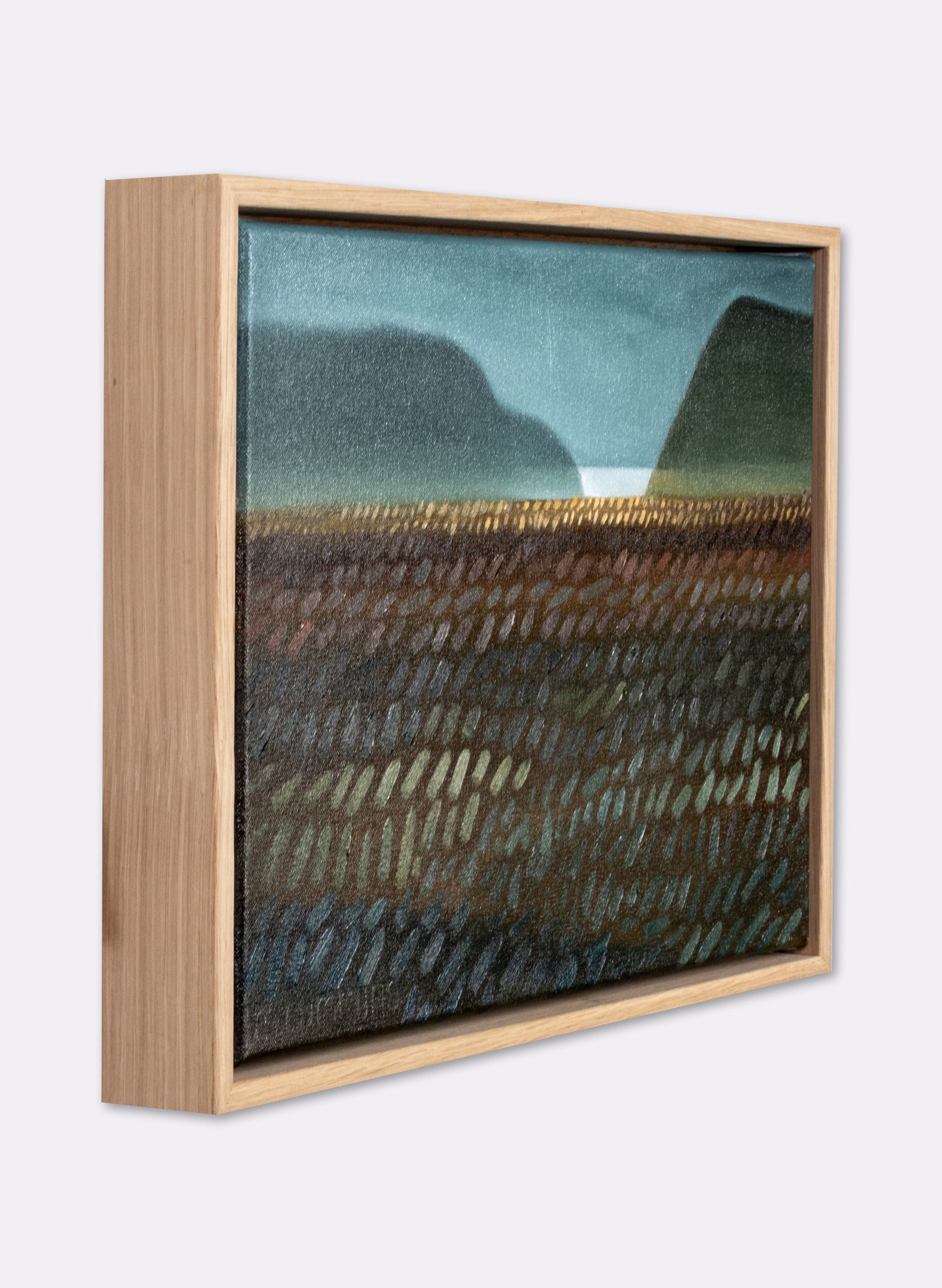 Milford Road Outside Te Anau