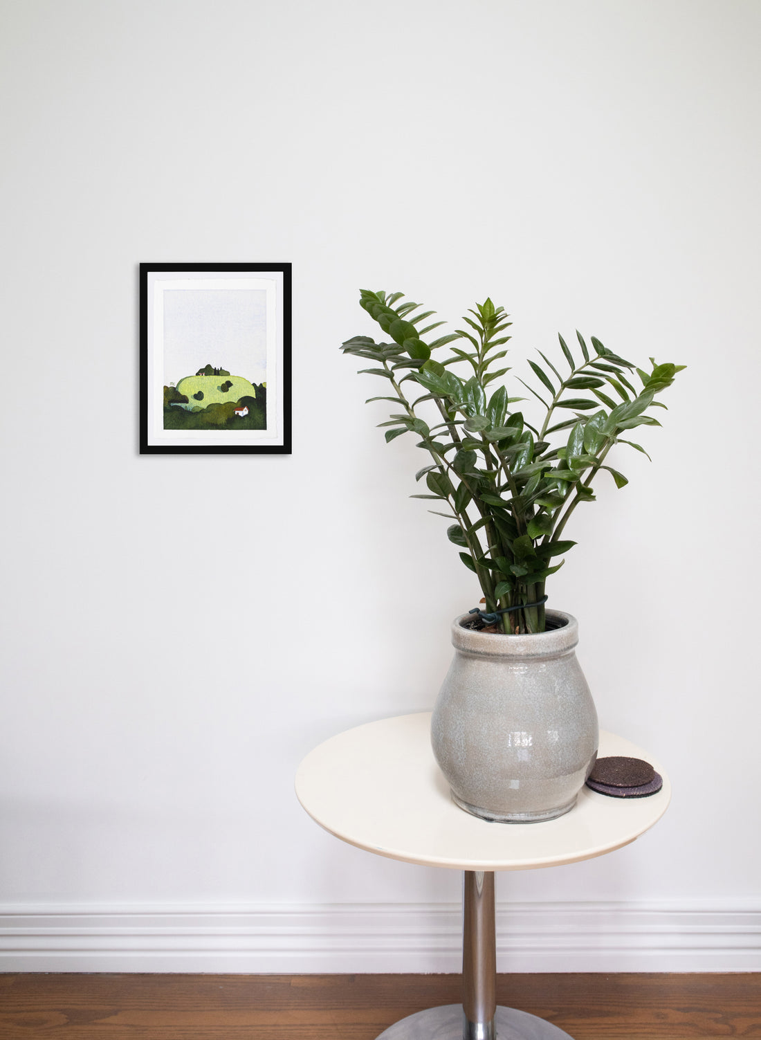 Mount Victoria / Takarunga 