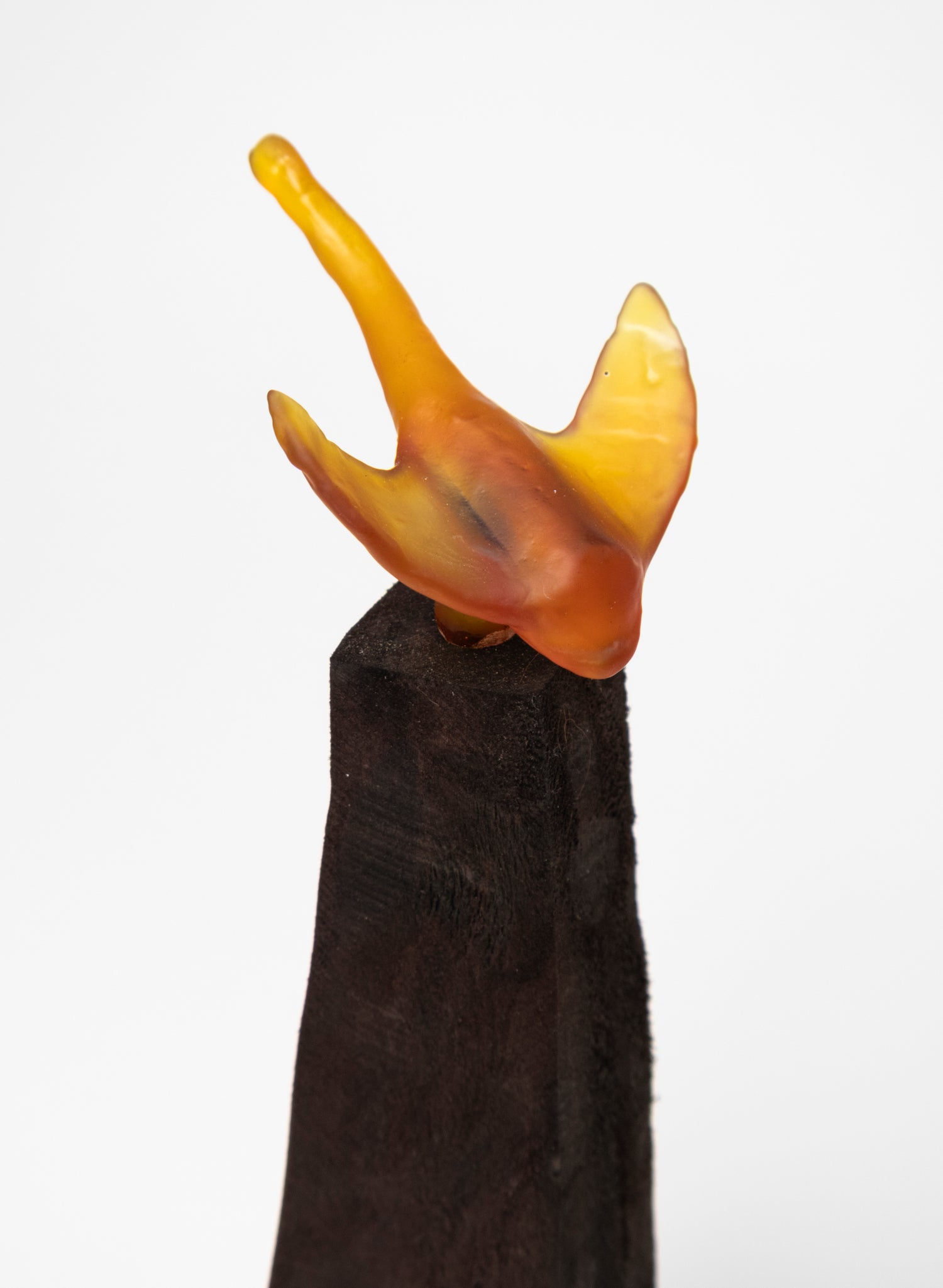 Glass Stingray on Wooden Plinth