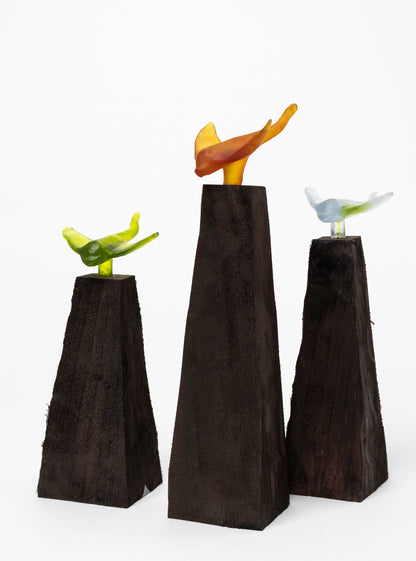 Glass Stingray on Wooden Plinth