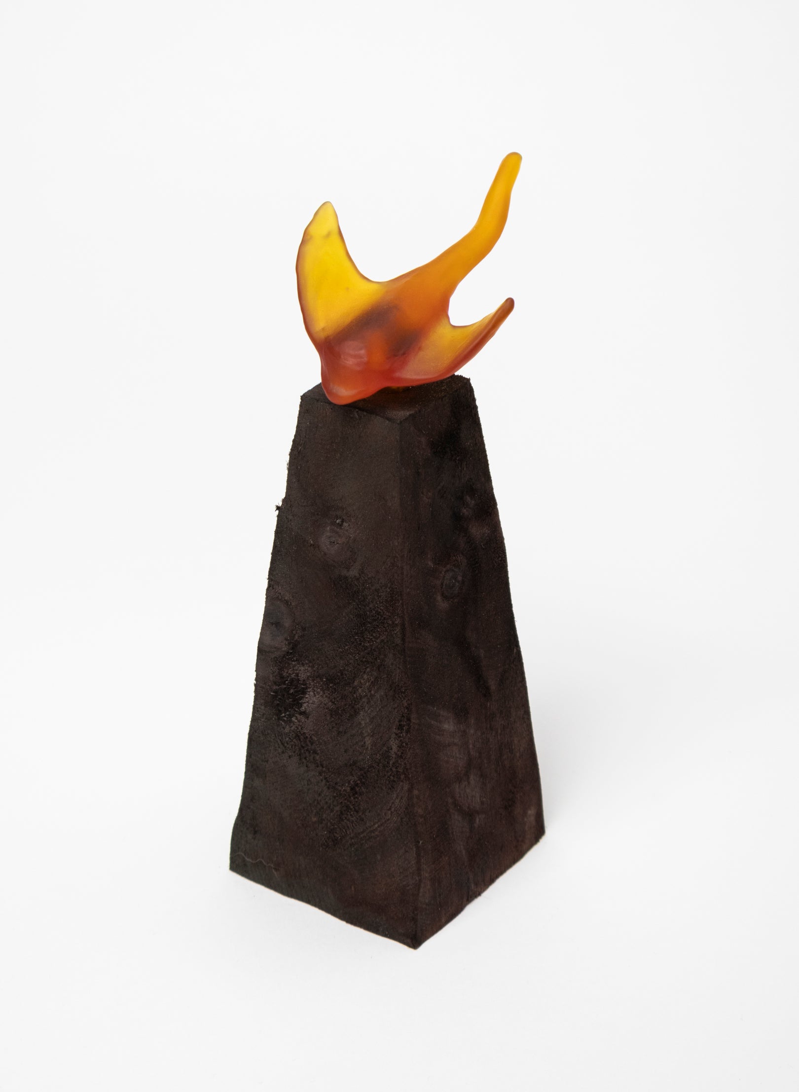 Glass Stingray on Wooden Plinth