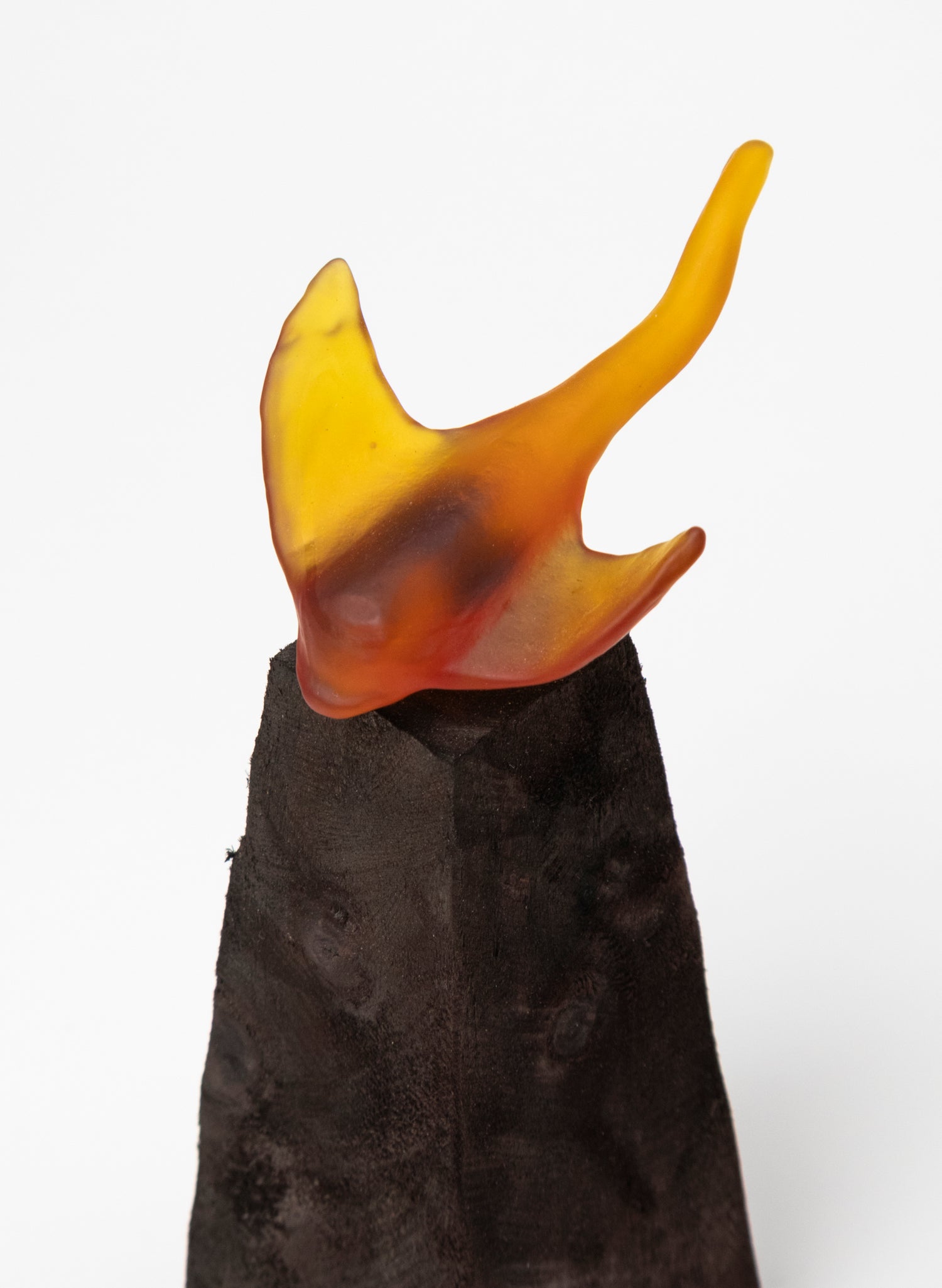 Glass Stingray on Wooden Plinth