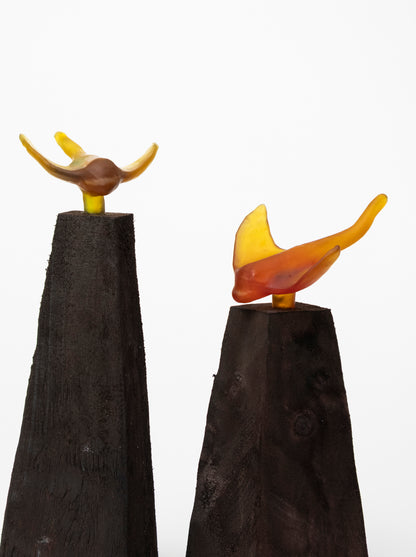 Glass Stingray on Wooden Plinth